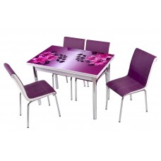 Комплект обеденной мебели Фиолетовая Орхидея (раскладной стол 110*70 см и 4 стула)
